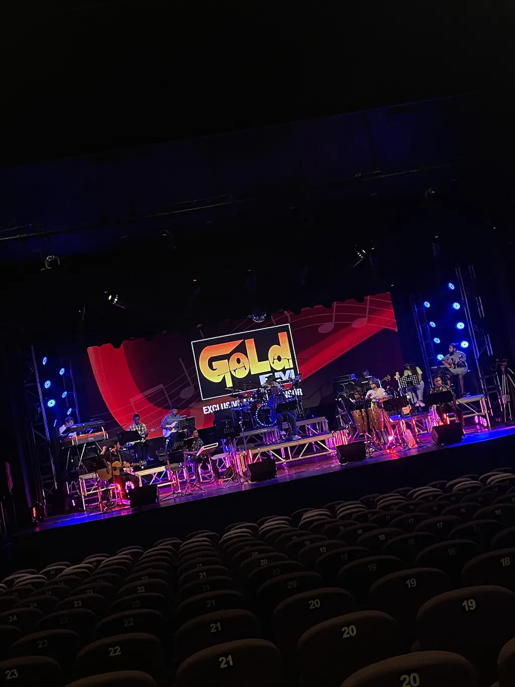 Musician performing on stage